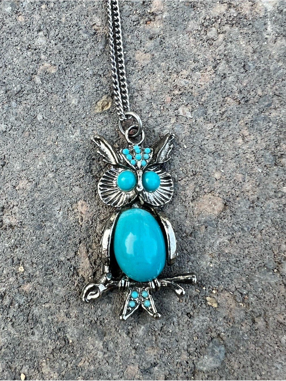 Vintage-Style Turquoise Owl Pendant Necklace | Boho Silver-Tone Curb Chain